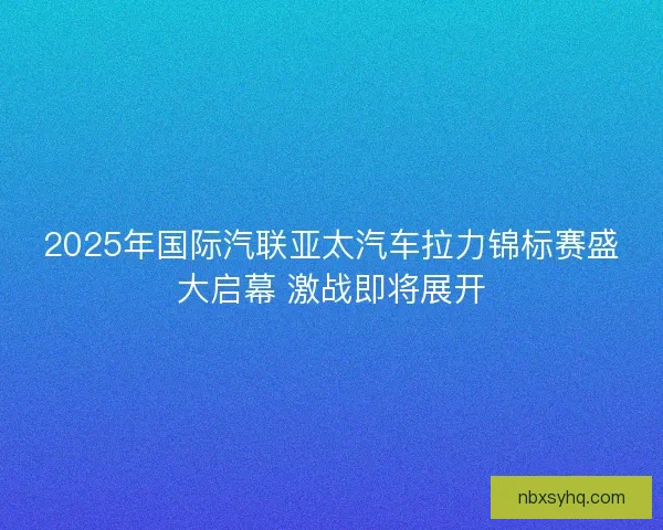 2025年国际汽联亚太汽车拉力锦标赛盛大启幕 激战即将展开 2025年国际汽联亚太汽车拉力锦标赛盛大启幕 激战即将展开