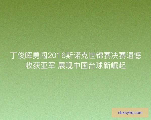 丁俊晖勇闯2016斯诺克世锦赛决赛遗憾收获亚军 展现中国台球新崛起 丁俊晖勇闯2016斯诺克世锦赛决赛遗憾收获亚军 展现中国台球新崛起