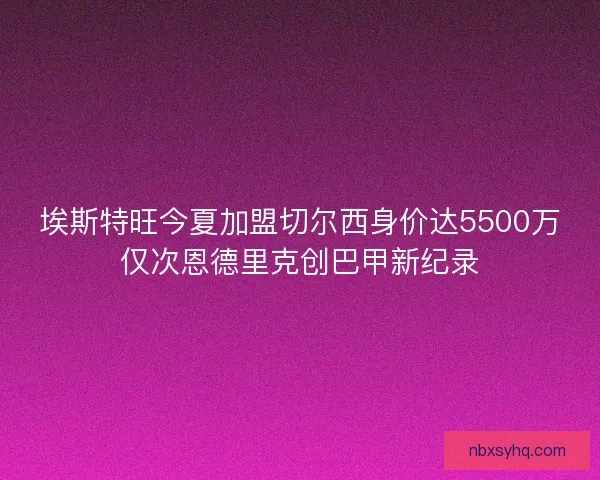 埃斯特旺今夏加盟切尔西身价达5500万仅次恩德里克创巴甲新纪录